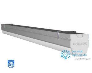 mang led philips BN012C t8 0.6m 1m2 congtyanhsang.com