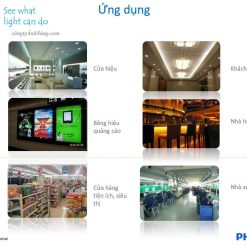 mang led t5 philips bn068c congtyanhsang.com