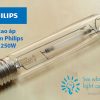 bong den cao ap sodium Philips son-t 250w