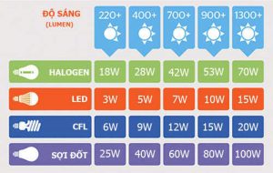 so sanh led compact halogen soi dot congtyanhsang.com
