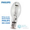 Philips MH-250W