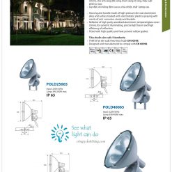 paragon-pold-100065-1000w